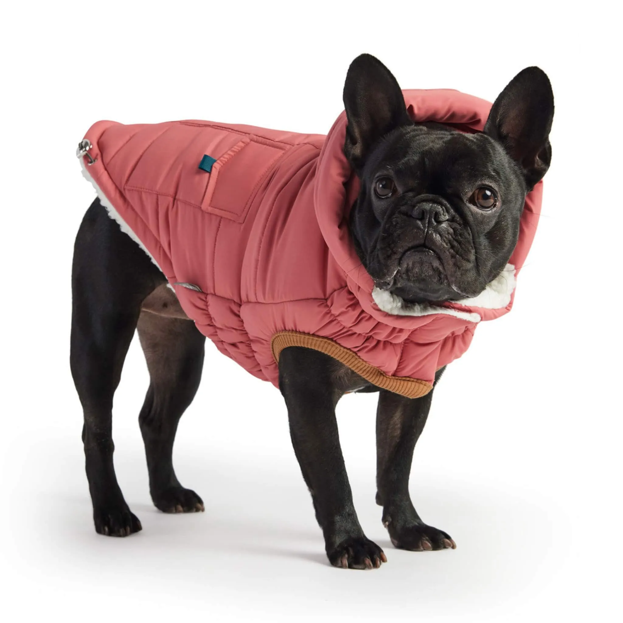 Puff Dog Parka - Pink