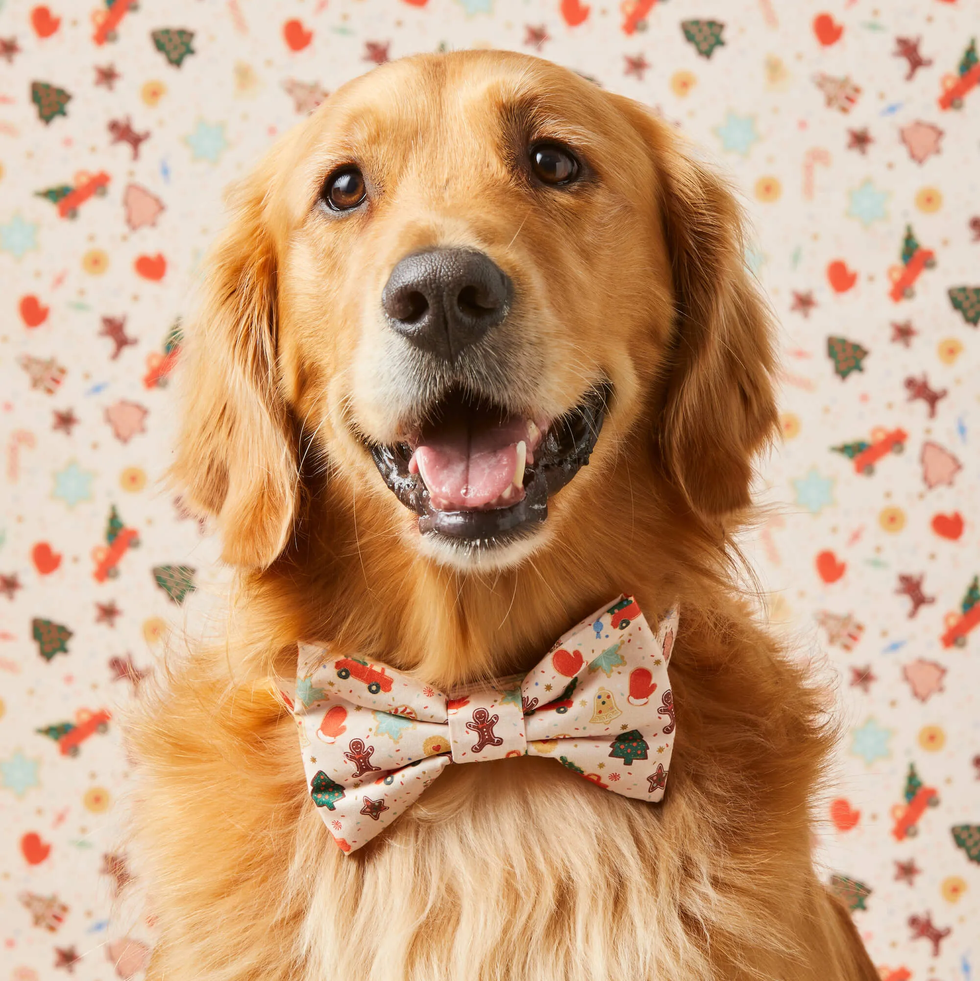 Rifle Paper Co. x TFD Holiday Cookies Bow Tie Collar