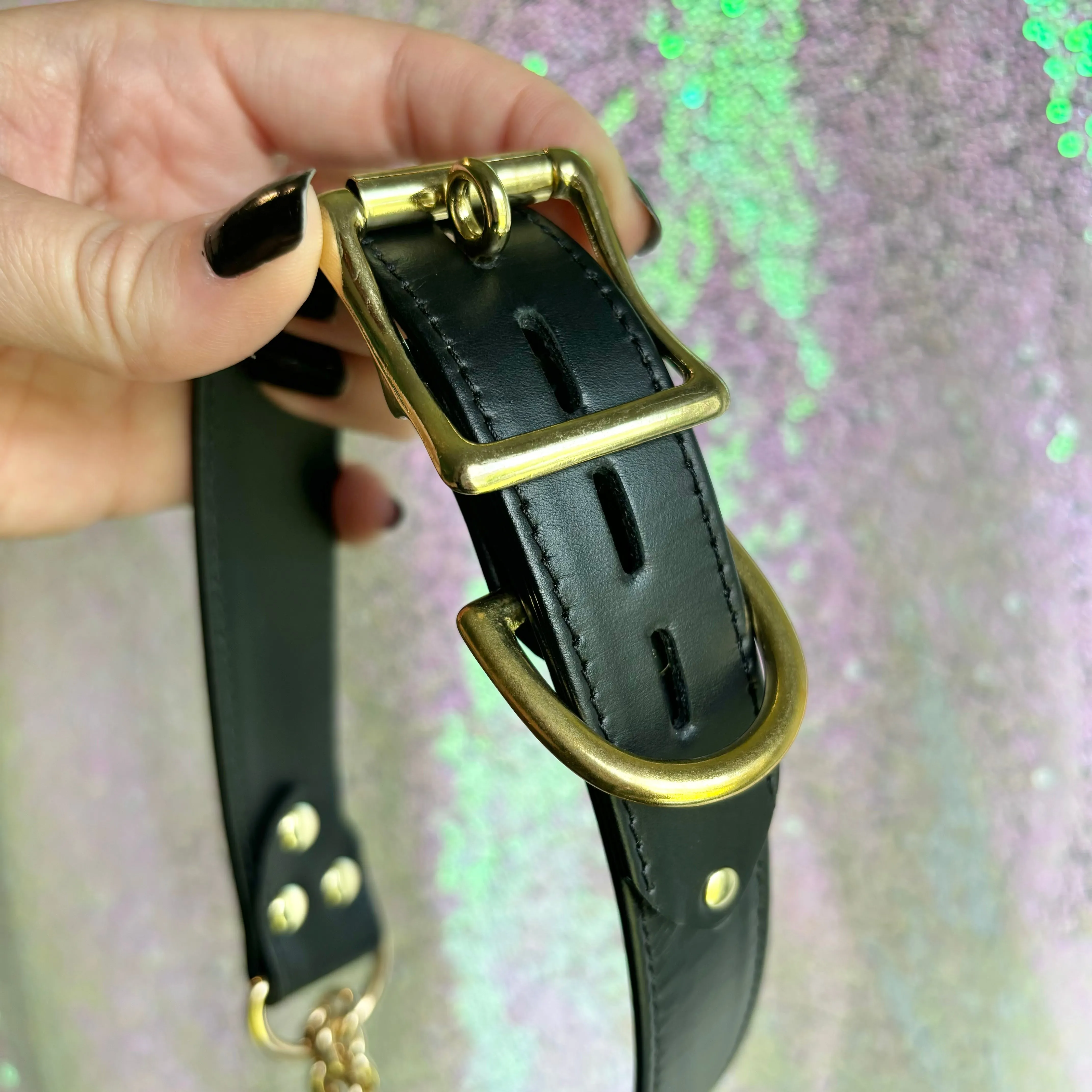 Sample Sale - Classic Martingale Collar - Black and Brass - 19"-21"