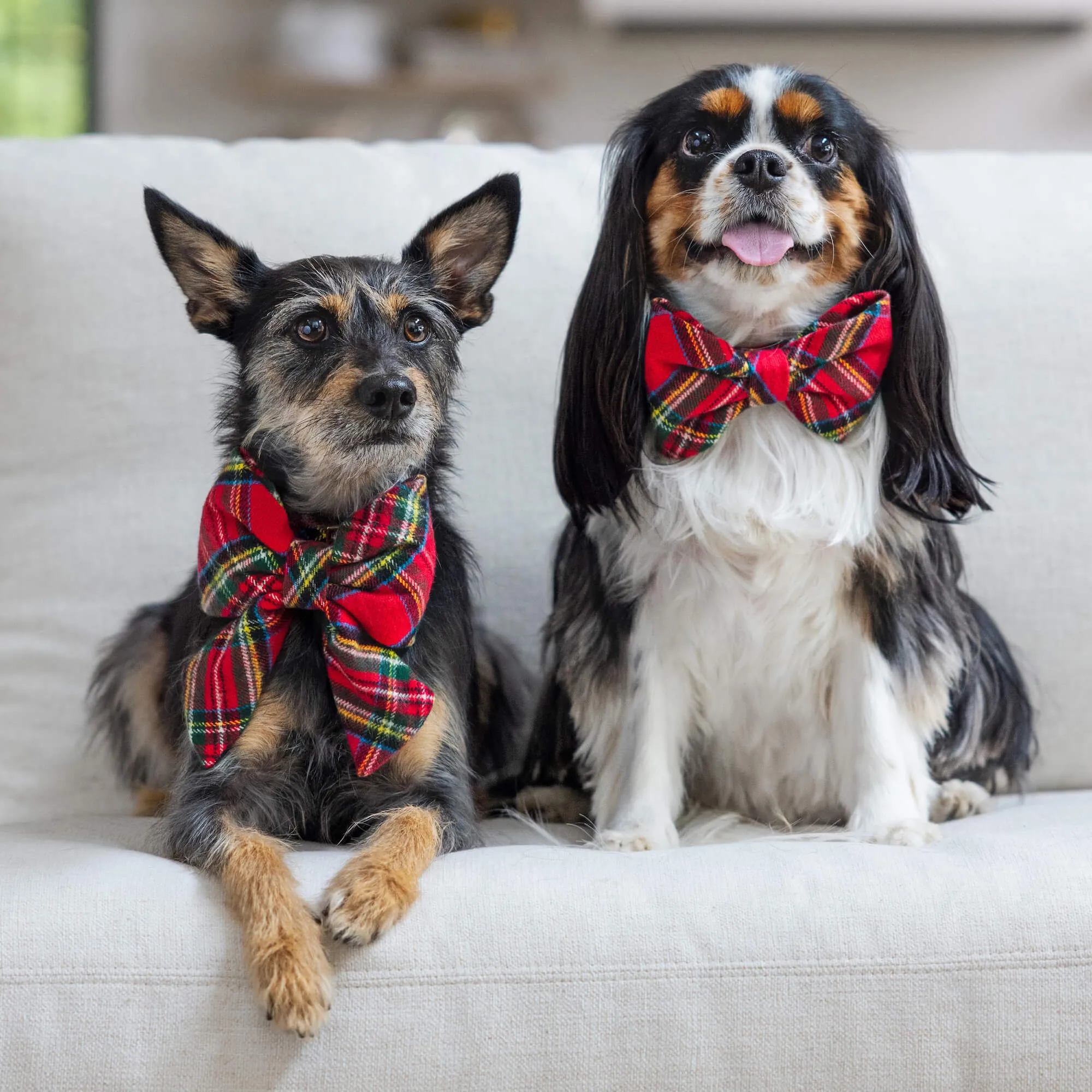 Tartan Plaid Flannel Bow Tie Collar