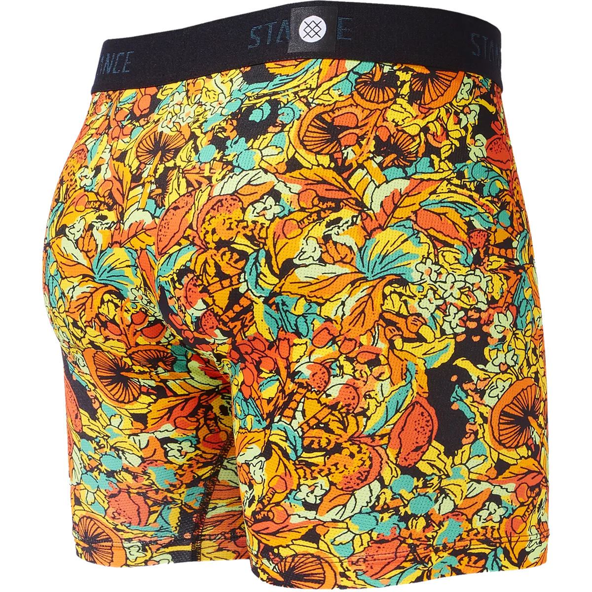 Whipple Bottom Boxer Brief with Wholester